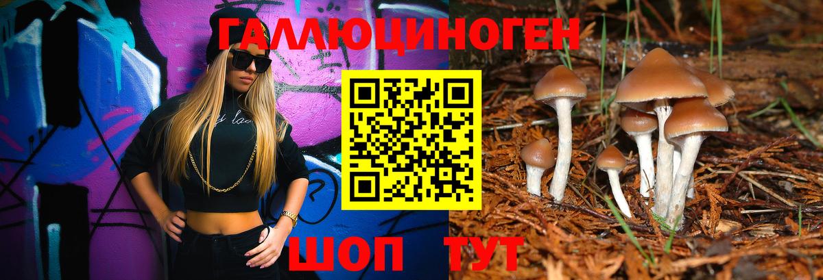Галлюциногенные грибы прущие грибы  Вход с VPN  Реж  Галлюциногенные грибы Psilocybine cubensis 